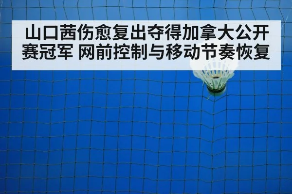 badminton net shot