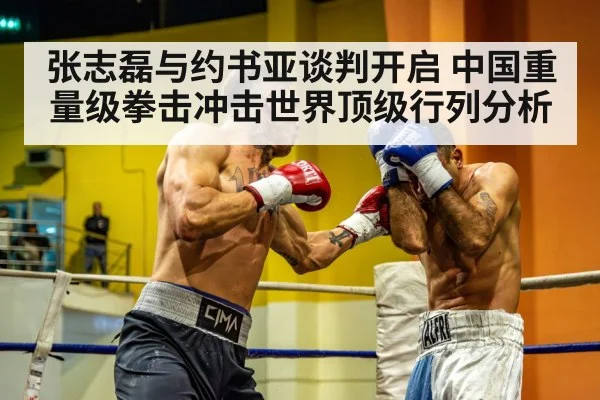 张志磊与约书亚谈判开启 中国重量级拳击冲击世界顶级行列分析